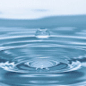 Meet your Posher, Ayden